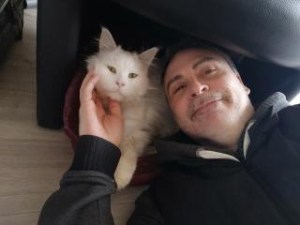 le pet-sitter et la mascotte, une chatte main coon toute blanche