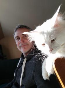 chat et pet-sitter ensemble petsitting brest